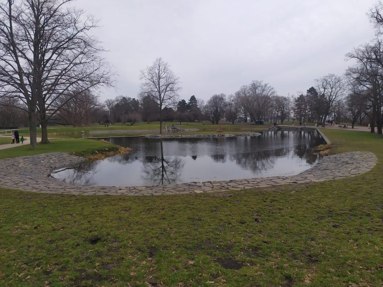 New irrigation pond in Letná